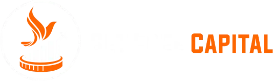 Set Free Capital Logo